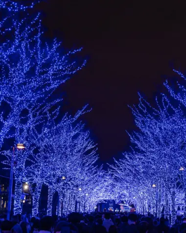 Arbres avec leds bleues 