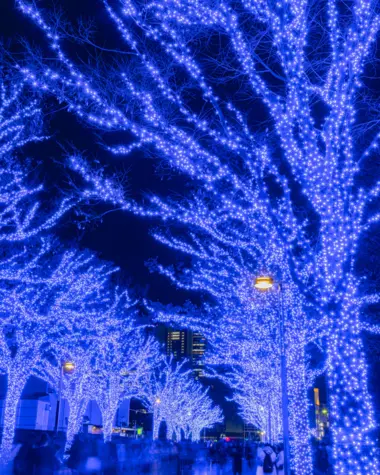 Illuminations de la Shibuya Blue Cave