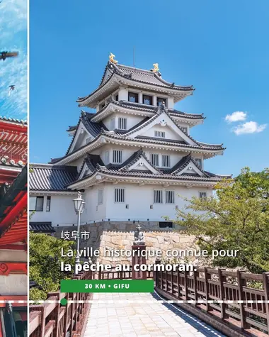 Gifu, ville historique connue pour la la pêche au cormoran