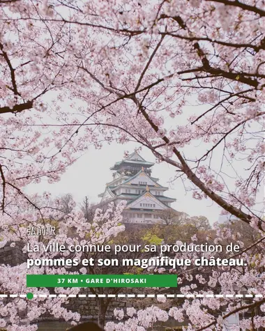 Hirosaki, connue pour sa production de pommes et son magnifique château