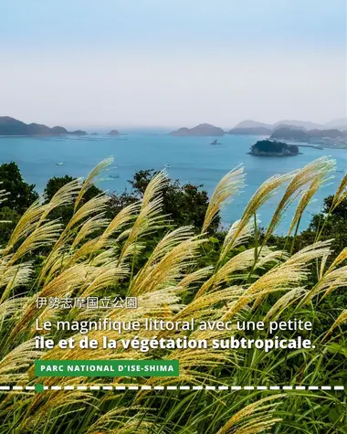 Le Parc national d'Ise-Shima, un magnifique littoral avec une petite île et de la végétation subtropicale