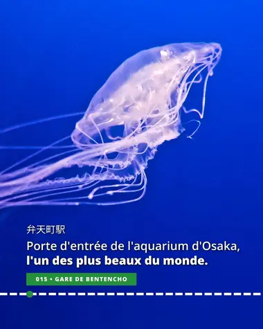 La gare de Bentencho, porte d'entrée de l'aquarium d'Osaka, l'un des plus beaux du monde