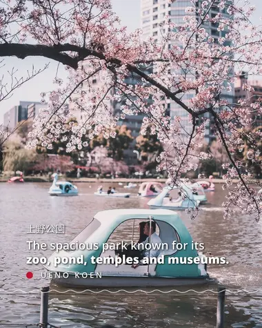 Ueno Koen, the spacious park known for its zoo, pond, temples and museums