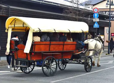 horse-drawn carriage