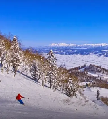 Ski sur la neige poudreuse de Furano