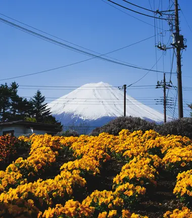 Le mont fuji vu depuis le lac Kawaguchi