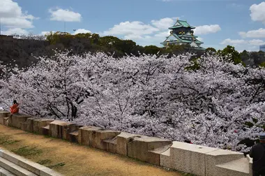 Osaka Castle in Spring