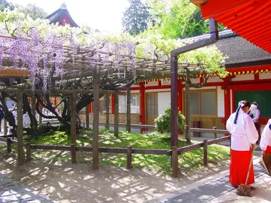 Sanctuaire Kasuga Taisha