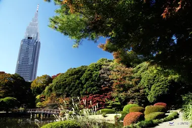 Shinjuku Gyoen