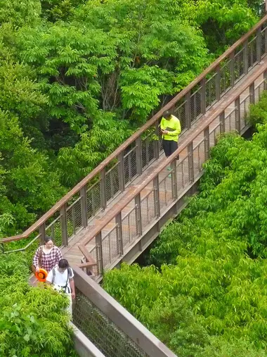 El parque tiene bosques donde puedes encontrar obras de arte.