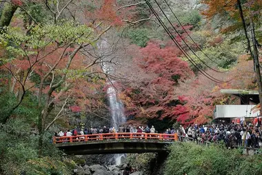 Cascade du parc de Minoh.