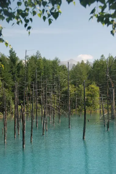 The blue pond of the village of Biei, Aoi ike