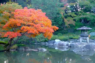 Kyufurukawagardens-fallfoilage-nov9-2012