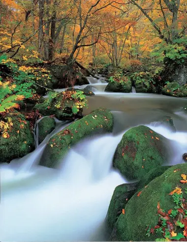 The river in the forest of Oirase Keikryu