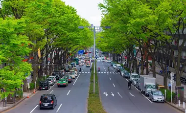 Omotensando, Harajuku