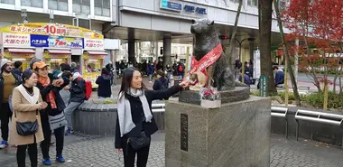 Hachiko desempeña un papel central en las campañas de las organizaciones benéficas por el bienestar animal