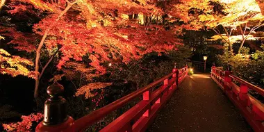 Le jardin de l'hôtel Chinzanso est réputé dans tout Tokyo pour sa beauté