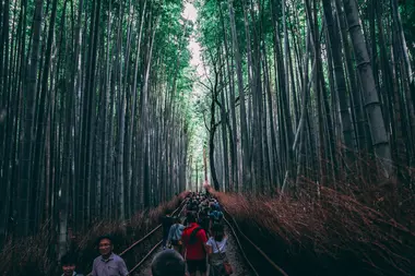 Bambouseraie arashiyama