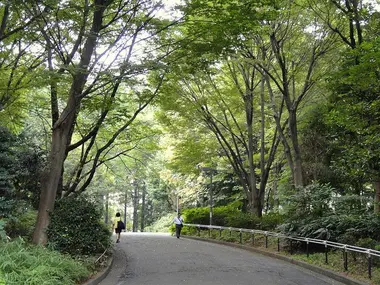 Shinjuku central park