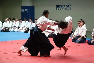 aikido