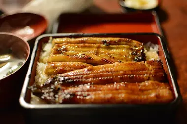 unagi