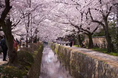 Philosopher's Path, Kyoto