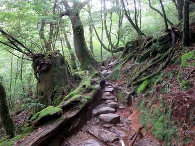 Yakushima