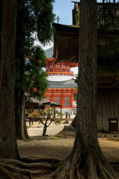 La pagoda Konpon-daito en Kōyasan, Wakayama