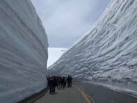 Yuki-no-Otani Snow Wall Walk