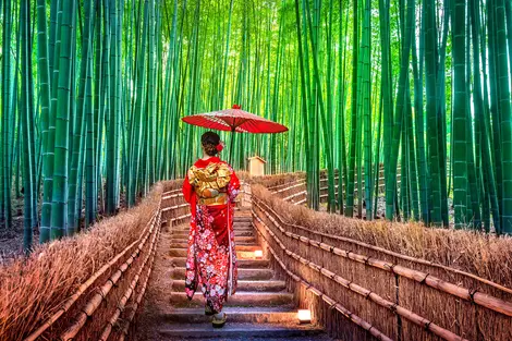 Bamboo grove in Arashiyama : famous touristic site to visit in Kyoto