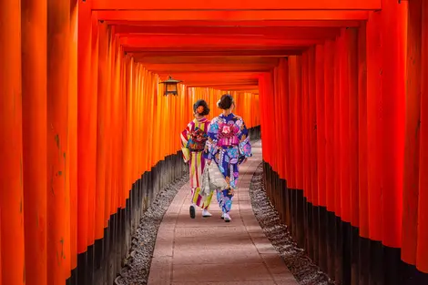 Les femmes en kimonos traditionnels japonais marchant à Fushimi Inari à Kyoto, au Japon