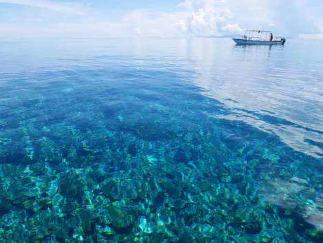 Les plages et eaux paradisiaques de l'île d'Ishigaki dans l'archipel d'Okinawa