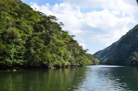 Iriomote Island is one of the last wilderness havens in Japan