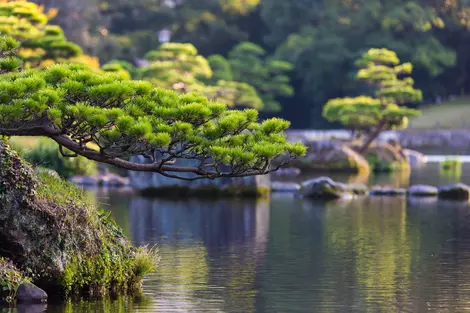 Campiña japonesa en la isla de Kyushu en Japón, cerca de Kumamoto