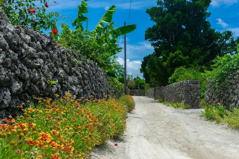 The island village of Taketomi, in the Okinawa archipelago is to be explored by bike or on foot. 