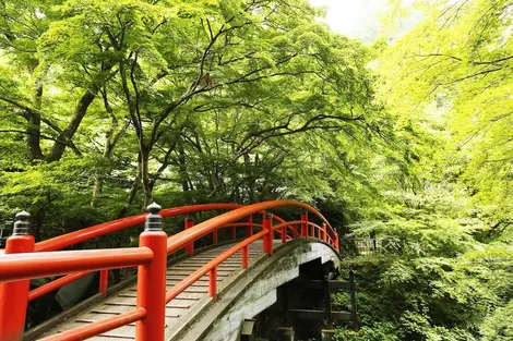 Beautés naturelles au milieu des Alpes Japonaises