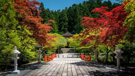 Beautiful nature and autumn foliage in Koyasan sacred valley