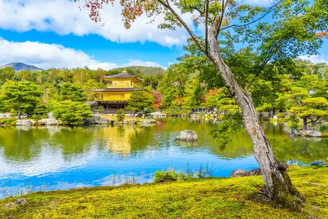 El Pabellón Dorado Kinkaku-ji: una visita obligada en la antigua capital de Kioto