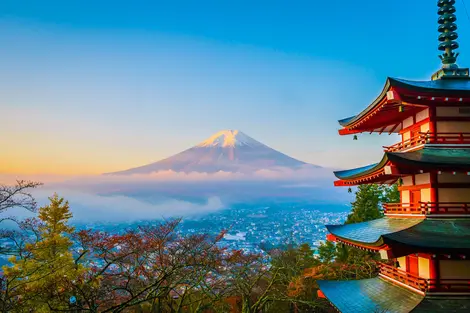 Mount Fuji während der Kirschblüte (Sakura)