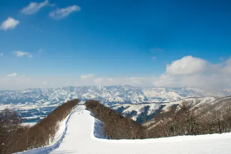 Skipiste im Skigebiet Nozawa Onsen in den japanischen Alpen