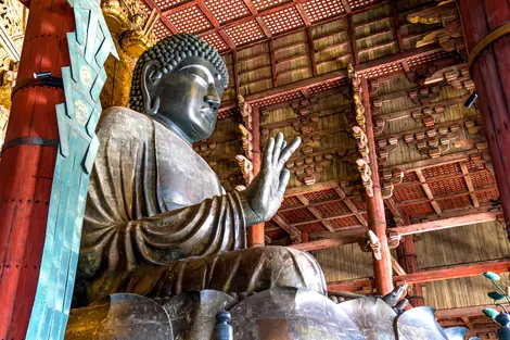 Con questo pass potrete visitare facilmente la più grande statua di Buddha.