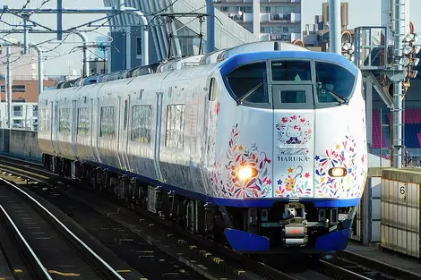 Haruka Express