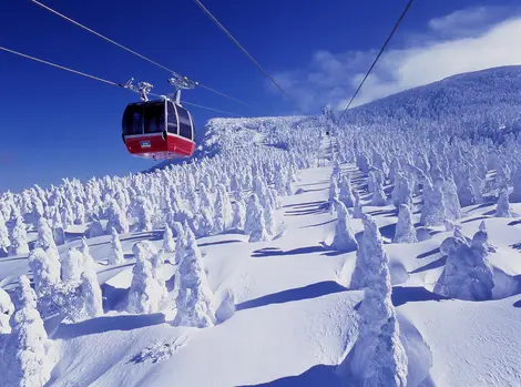 Téléphérique pour aller à Snow Monster