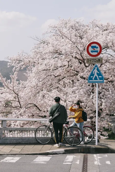 kyoto - Bicycle ride