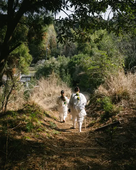 Pilgrims walking down the Kumano Kodo