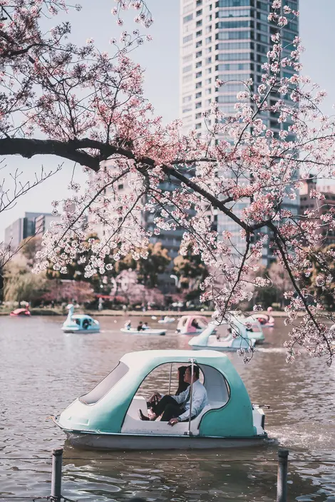 Pédalo au parc d'Ueno à Tokyo