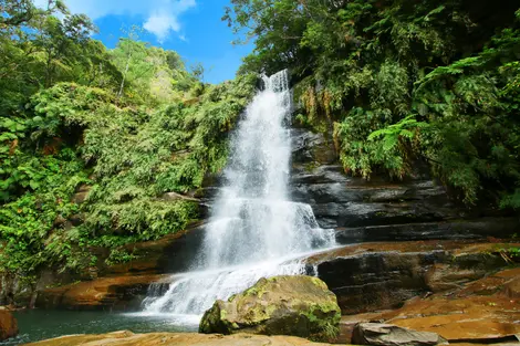 Iriomote Waterfall - torutabi