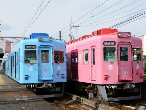 Medetai trains pink & blue