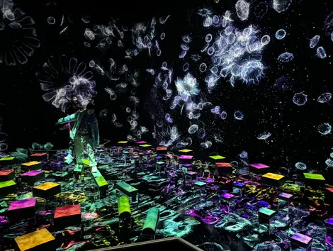 Catching and Collecting Forest, Teamlab Planets 