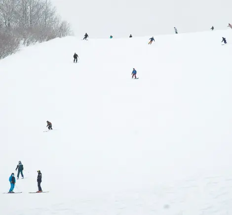 Descente d'une piste de la station de ski de Hakuba Valley